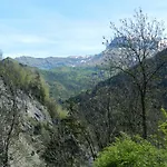 L'epicéa Saint-Jean-d'Arves