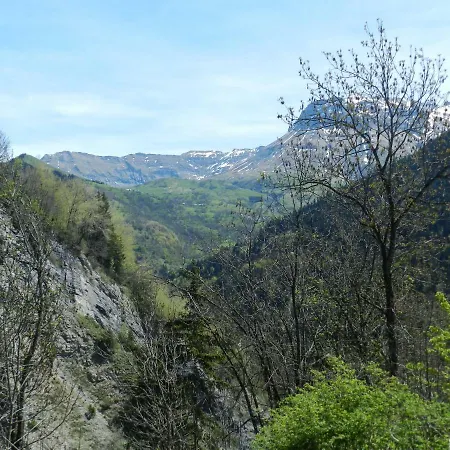 L'epicéa Saint-Jean-d'Arves
