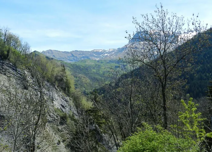 L'epicea Saint-Jean-d'Arves